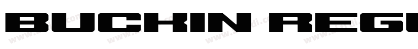 Buckin Regular Demo字体转换